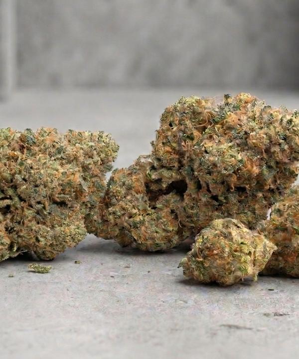 Frosty Cheetoz hybrid THCA flower nugs with orange hairs on concrete.